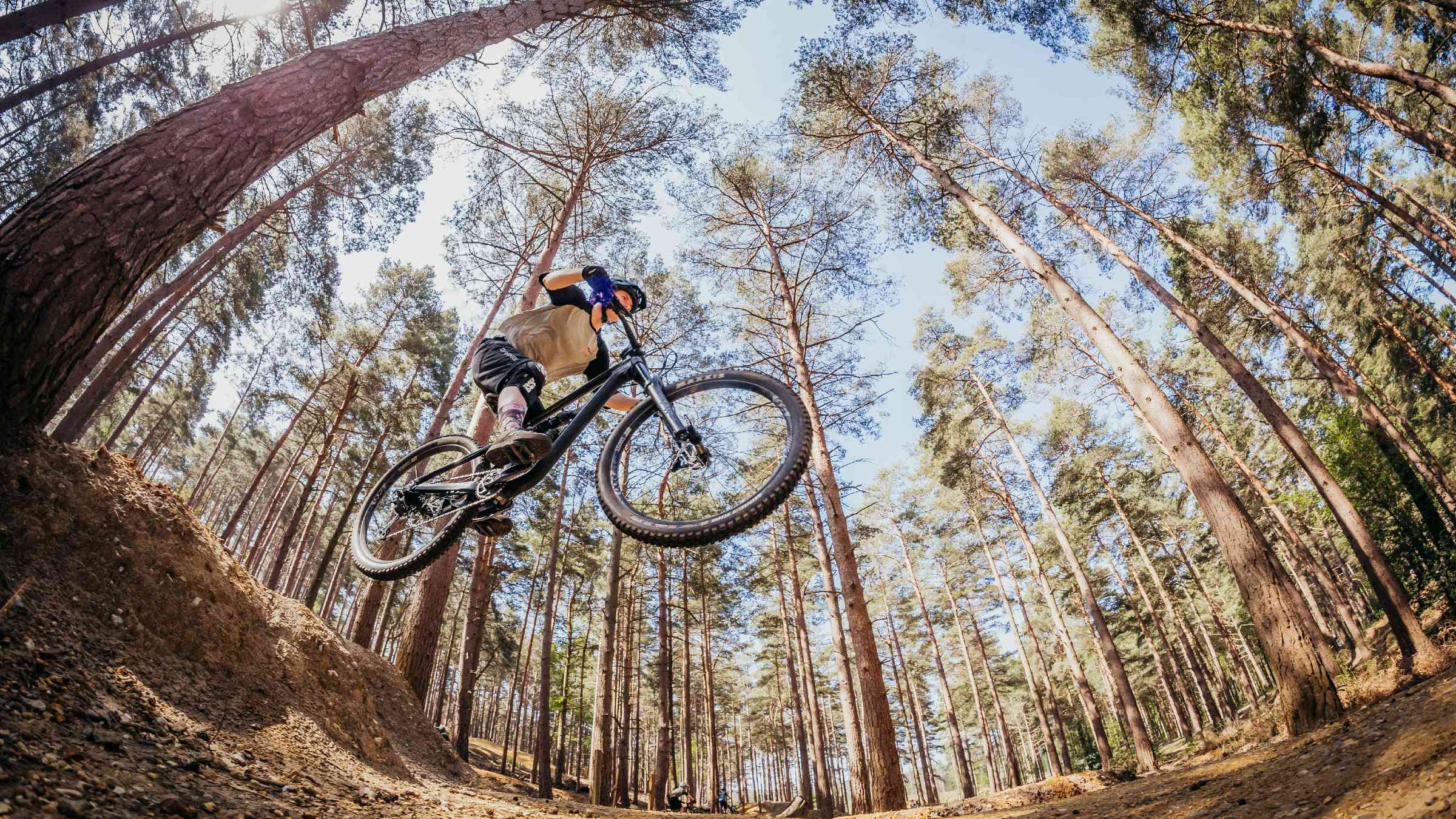 Fahrradkurbellager